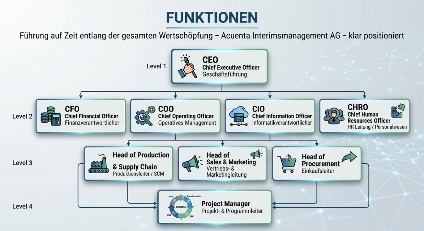 Übersicht der von Acuenta besetzten Funktionen, gegliedert nach C-Level, 1. Führungsebene und Projekt-/Programm-Management
